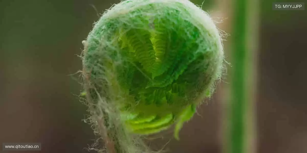 「运动装备黑科技，让你的每一步都更专业！🛡️点击选购，开启高效训练！」